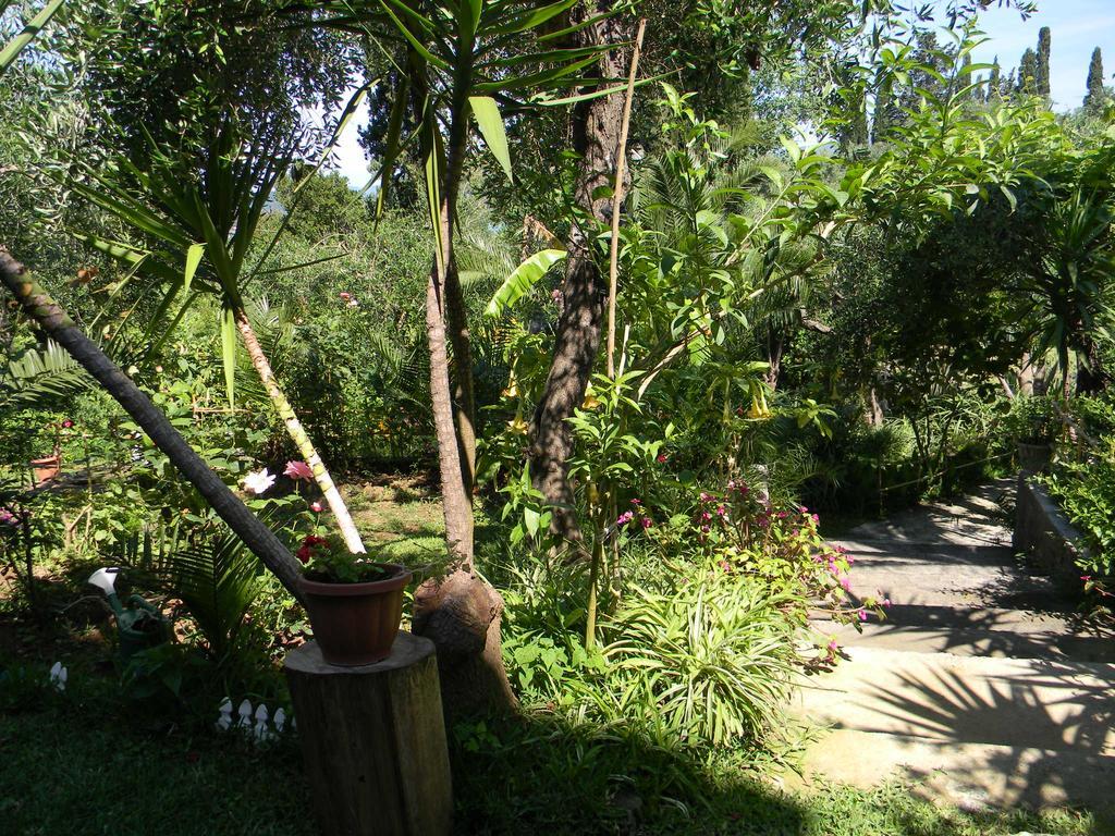 Villa Efterpi コントカリ エクステリア 写真